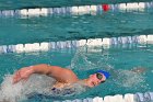 Swimming vs Babson  Wheaton College Swimming vs Babson College. - Photo By: KEITH NORDSTROM : Wheaton, Swimming, Babson